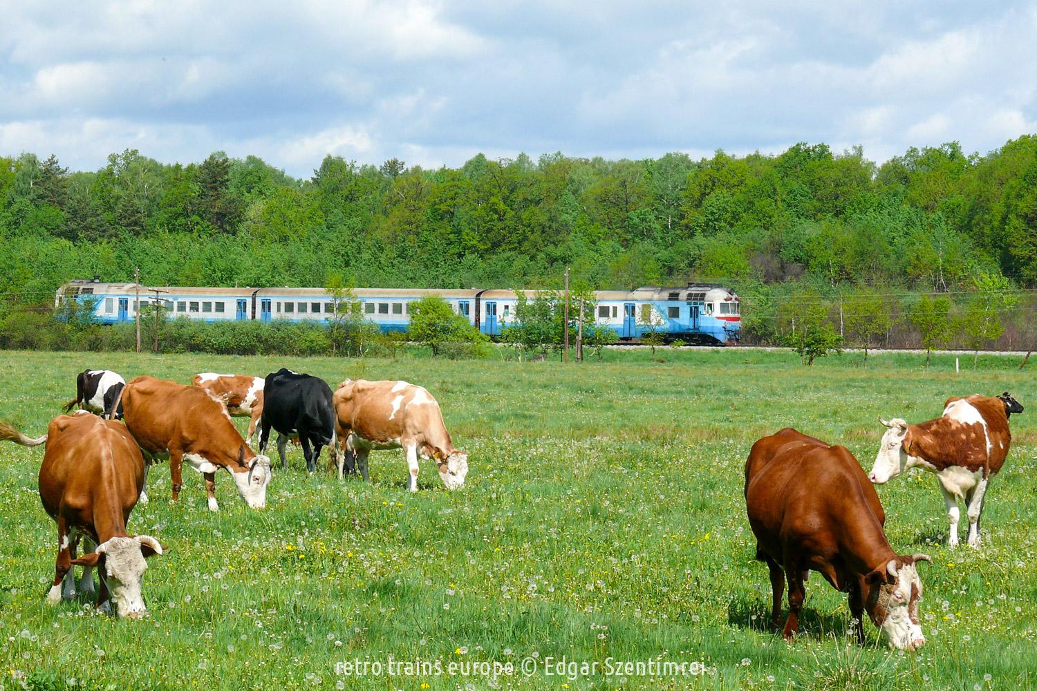 DMU D1 552 of the UŽ Ukrainian Railways next to Kalush